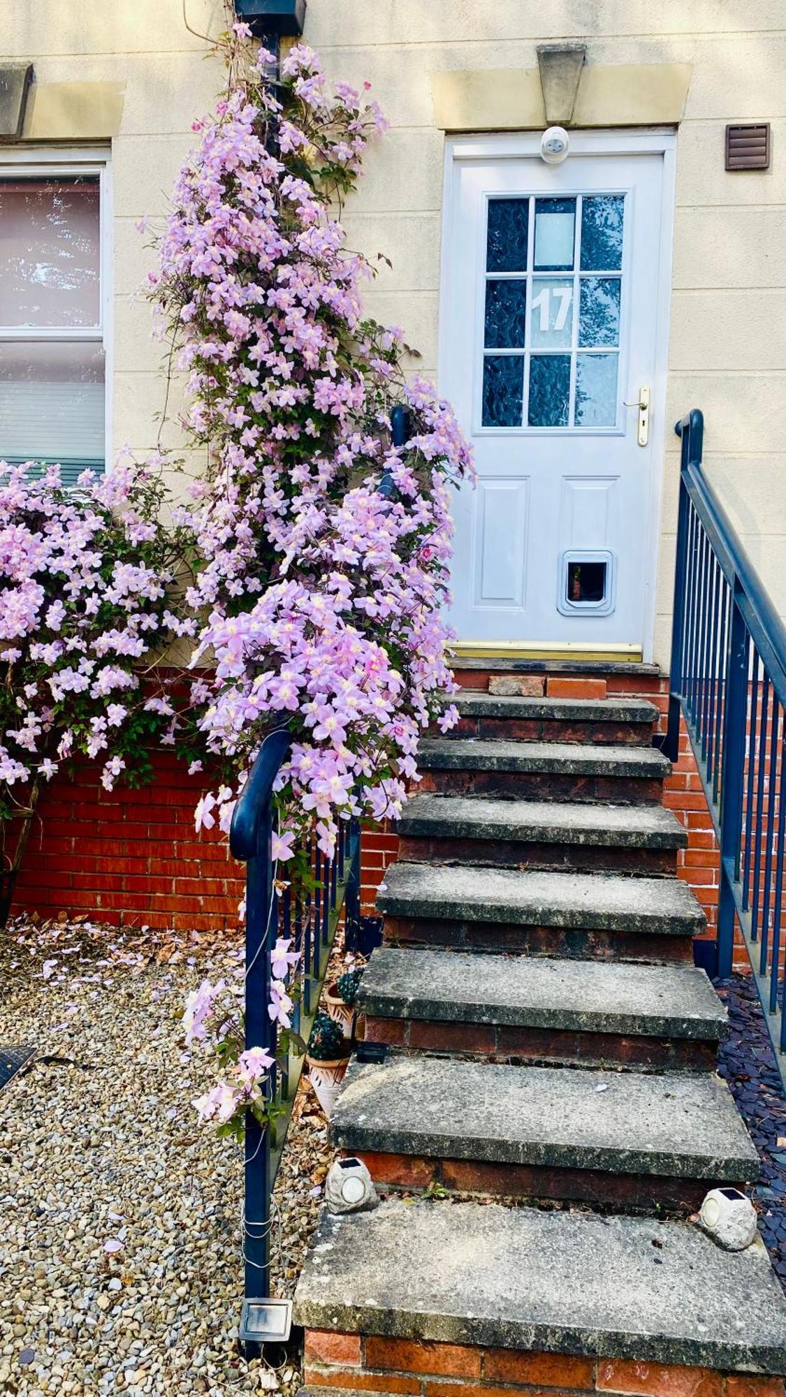 Modern Ground Floor Apartment With Free Parking Very Near Centre Ripon Exterior photo